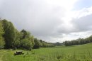 Bois de la Suisse